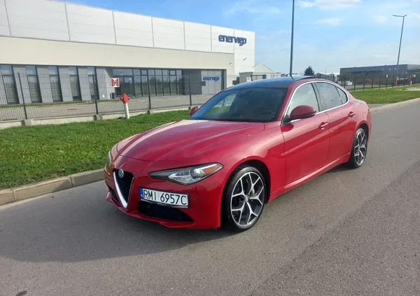 alfa romeo podkarpackie Alfa Romeo Giulia cena 114000 przebieg: 34000, rok produkcji 2020 z Mielec